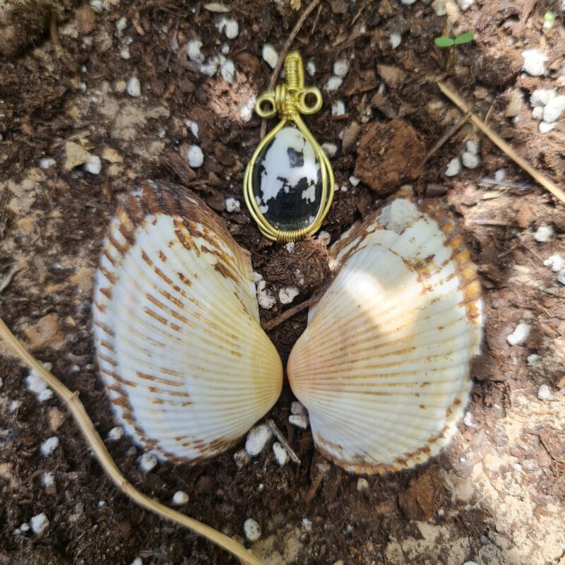 گردنبند صدف طبیعی