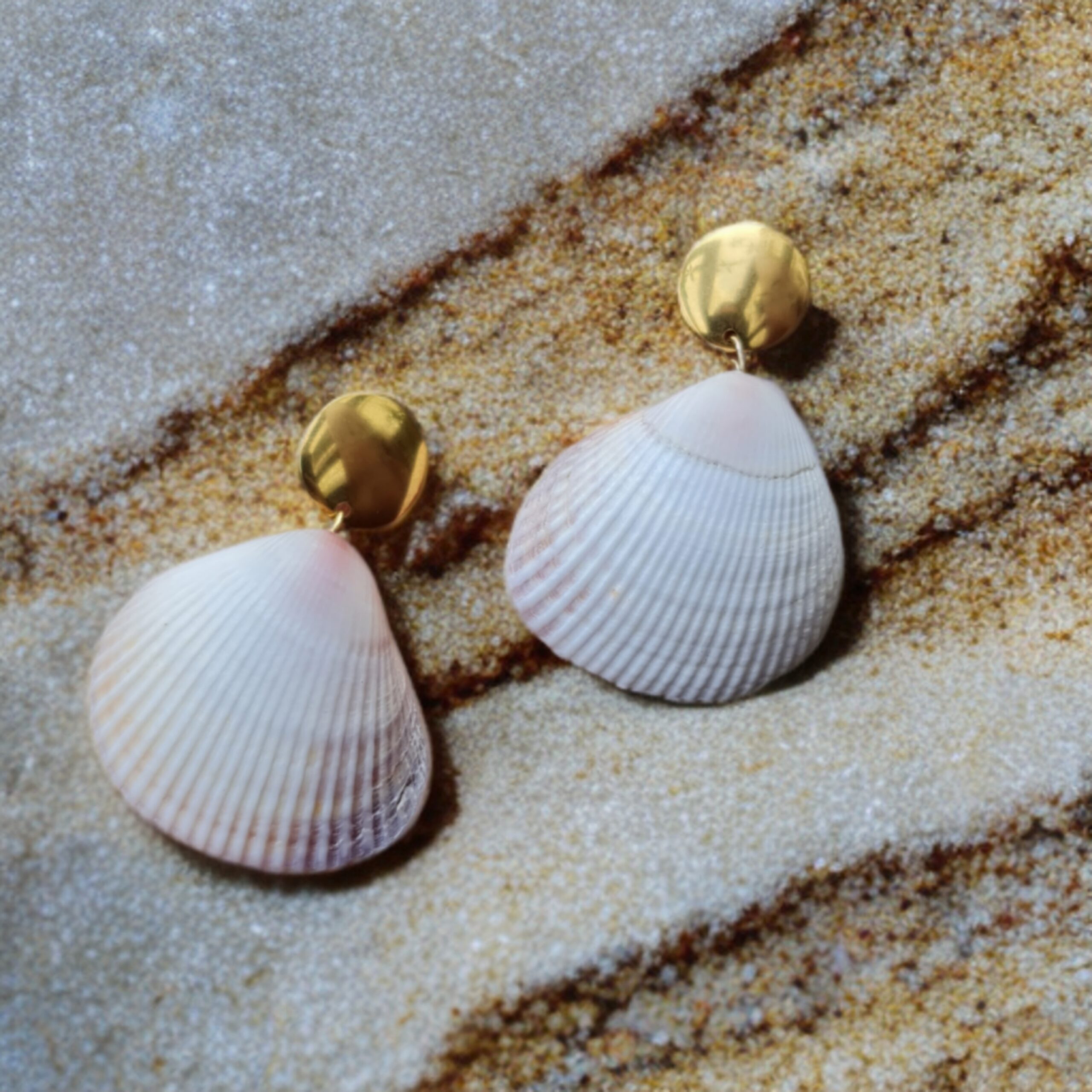 گوشواره صدف طبیعی